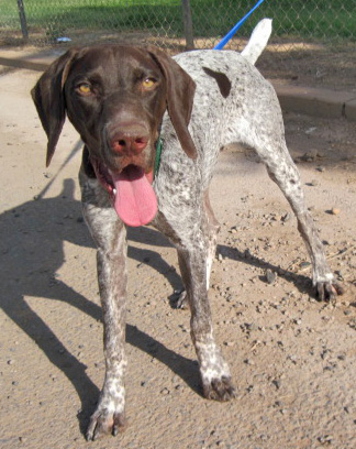 pointer rehoming